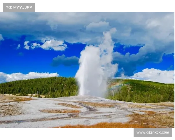 探秘神兽森林秘境之旅体验自然奇观与未知惊喜是否值得前往 探秘神兽森林秘境之旅体验自然奇观与未知惊喜是否值得前往