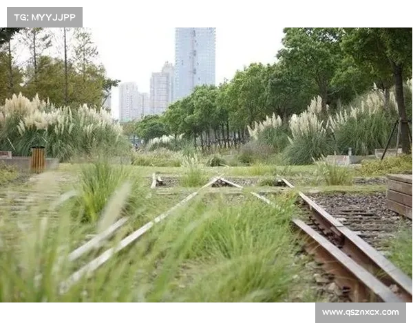 如何通过场地特征判断坎贝尔球场的位置及其影响因素分析